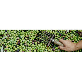 Vente au détail d'olives vertes, d'olives noires, ...